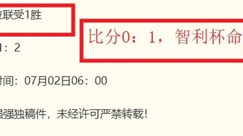 雷火电竞体育 075049 1